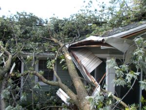Tree fell on house. Insurance Restoration