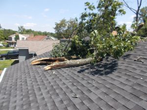 Storm Damage Grand Rapids, MI